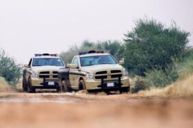 تفاصيل غرامات رعي الإبل في المحميات الملكية ومكافحة المخالفات