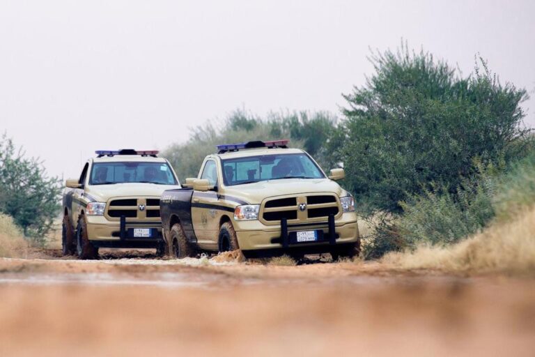 تفاصيل غرامات رعي الإبل في المحميات الملكية ومكافحة المخالفات