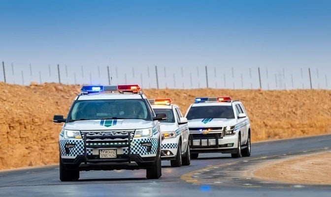 نحو بيئة مستدامة: مكافحة بيع الحطب المحلي أولوية وطنية