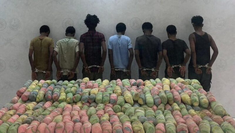 لماذا تعد مكافحة المخدرات وحماية البيئة في المملكة أمراً حيوياً؟