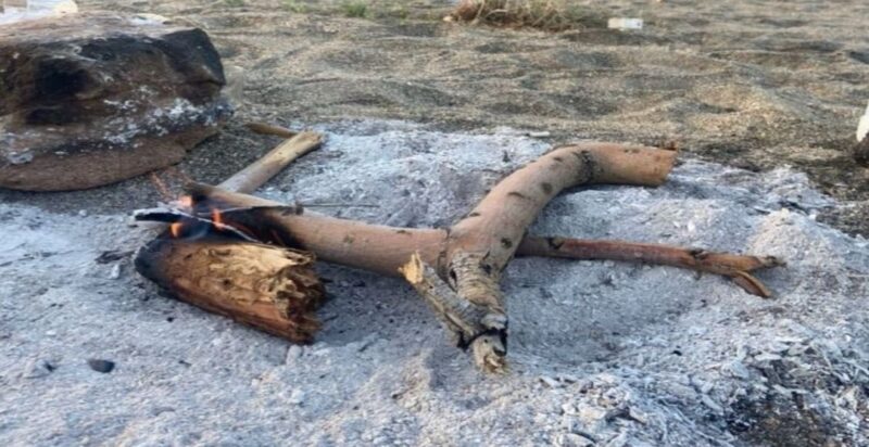 حماية مستدامة: رؤية الأمن البيئي في المدينة المنورة