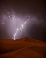 المملكة تحت تأثير: موسم العقارب في السعودية واستمرار البرد