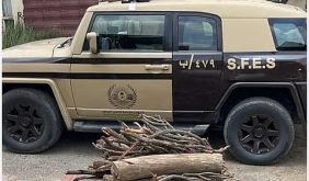 الأمن البيئي يضبط مواطنًا لنقله حطبًا محليًا في الرياض