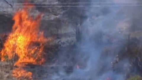 حكومة الشارقة بالإمارات تسيطر على حريق في منشأة تحتوي على خزانات بترولية