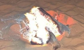 ضبط مواطن لإشعاله النار في غير الأماكن المخصصة لها بمحمية طويق الطبيعية