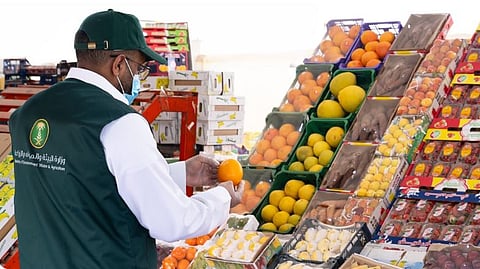 «بيئة عسير» تنفذ 348 جولة رقابية على الأسواق ومنشآت النفع العام