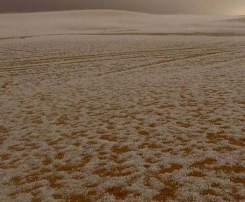 هجرة الطويلة: قلب أجواء الأحساء الشتوية الساحرة