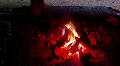 حماية البيئة في السعودية: الغرامات والإبلاغ عن التعديات البيئية