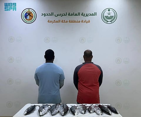 تأمين مستقبل الثروة البحرية في القنفذة: التزامنا بالأنظمة البيئية