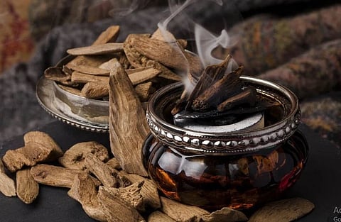 نحو بيئة صحية: إدراك الآثار الصحية للبخور والفواحات