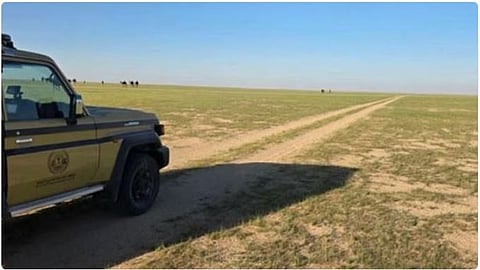 ضبط مواطن لارتكابه مخالفة رعي بمحمية الملك عبدالعزيز الملكية