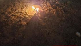 مستقبل مستدام: جهود حماية البيئة وصيانة الغطاء النباتي