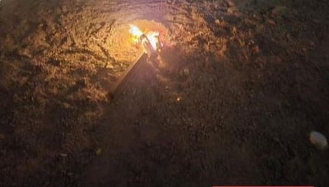 مستقبل مستدام: جهود حماية البيئة وصيانة الغطاء النباتي