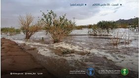 تفاصيل كميات الأمطار في السعودية: أرقام دقيقة وتوقعات