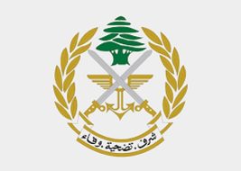 الحفاظ على الأمن: جهود الجيش اللبناني جنوب لبنان البطولية