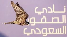 مبادرات متطورة في إعادة توطين الصقور واستقرارها