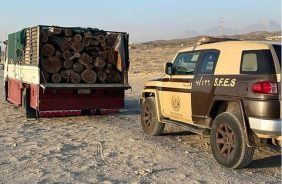 جهود المملكة لمواجهة مخالفات البيئة في السعودية وتعزيز الاستدامة