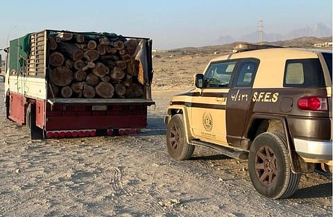 جهود المملكة لمواجهة مخالفات البيئة في السعودية وتعزيز الاستدامة