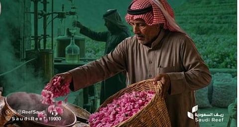 الابتكار الزراعي: دور ريف في تنمية قطاع الورد السعودي