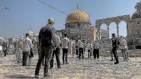 فهم الواقع: حقيقة الوضع في الأراضي الفلسطينية اليوم