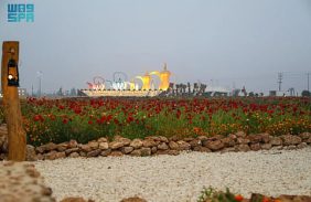 منتزه روضة هباس للزهور البرية: كنز طبيعي يعزز السياحة البيئية