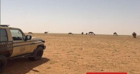 ضبط مواطن لارتكابه مخالفة رعي بمحمية الإمام عبدالعزيز بن محمد الملكية