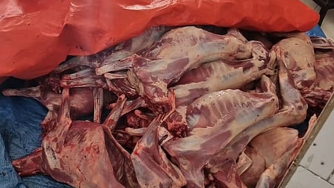 الرقابة البلدية في جدة تفرض عقوبات صارمة على مخالفات اللحوم