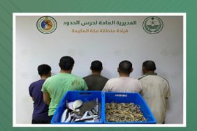 حماية الثروة السمكية من خلال مكافحة مخالفات الصيد البحري