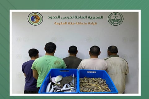 حماية الثروة السمكية من خلال مكافحة مخالفات الصيد البحري