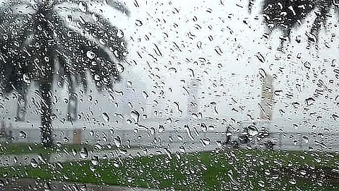 إرشادات السلامة عند هطول الأمطار: ما يجب فعله وما يتجنب