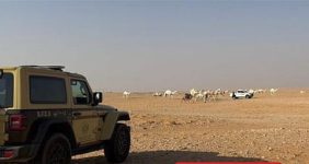 حماية المحميات الطبيعية كإرث وطني: نحو شراكة مجتمعية بيئية