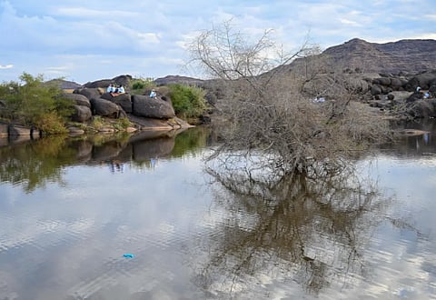 بحيرات «بئر عسكر» بنجران.. واحات طبيعية تأسر قلوب المتنزهين