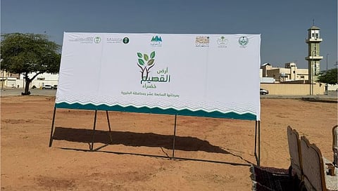 مستقبل التشجير في المنطقة مع مبادرة أرض القصيم خضراء