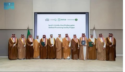 أهمية توطين قطاع الأسماك في السعودية لتطوير سلاسل الإمداد المحلية