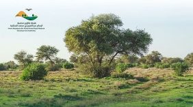 الالتزام بضوابط الرعي في محمية الملك عبدالعزيز الملكية: الغرامات والإجراءات