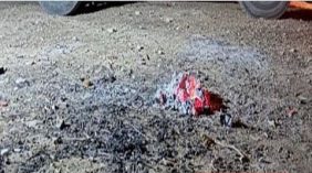 كل ما تود معرفته عن عقوبات الأمن البيئي والمخالفات المترتبة