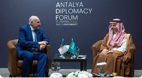 أهمية العلاقات السعودية الجزائرية في المشهد السياسي الراهن