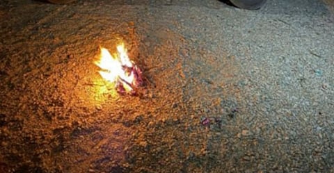 حماية الغطاء النباتي: رصد مخالفة بيئية في محمية طويق