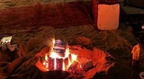 لماذا تعد حماية الغطاء النباتي ركيزة أساسية لرؤية المملكة؟