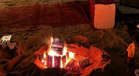 لماذا تعد حماية الغطاء النباتي ركيزة أساسية لرؤية المملكة؟