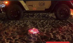 أهم الأسئلة الشائعة حول غرامات نظام البيئة في السعودية