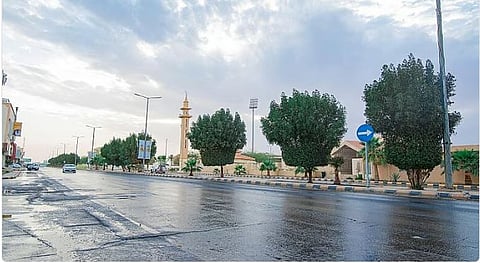 أهمية رصد هطول الأمطار في السعودية للتخطيط الوطني المستدام