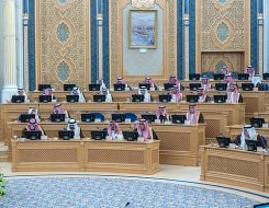 التكامل الرقابي في قرارات مجلس الشورى لتحقيق التنمية الشاملة