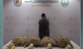 تطور الأساليب الأمنية في مكافحة تهريب المخدرات عبر الحدود