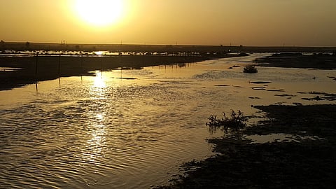 متنزهات القصيم البرية تستقبل عشاق الرحلات البرية