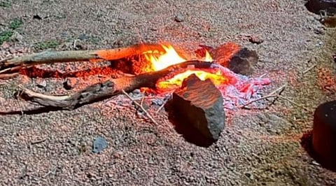 دليلك الشامل حول أنظمة الأمن البيئي وعقوبات المخالفين