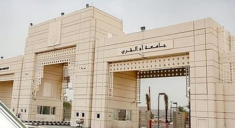 برنامج ناوي 2026 والكوادر الوطنية: نحو إنتاج معرفي واعد