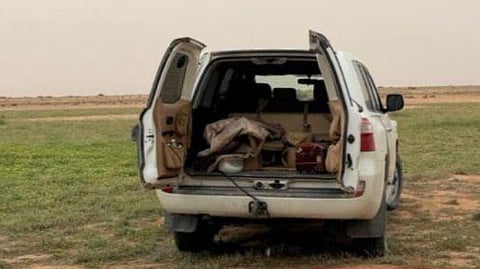 ضبط مخالف لدخوله بمركبته في الفياض والروضات بمحمية الملك عبدالعزيز الملكية