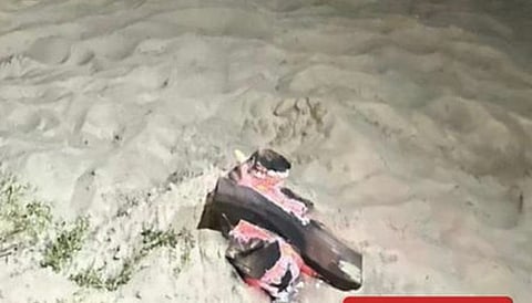 كل ما تريد معرفته عن مخالفات البيئة في السعودية والغطاء النباتي