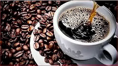 الصحة: القهوة السوداء أفضل من «المحلاة» لخلوها من السعرات